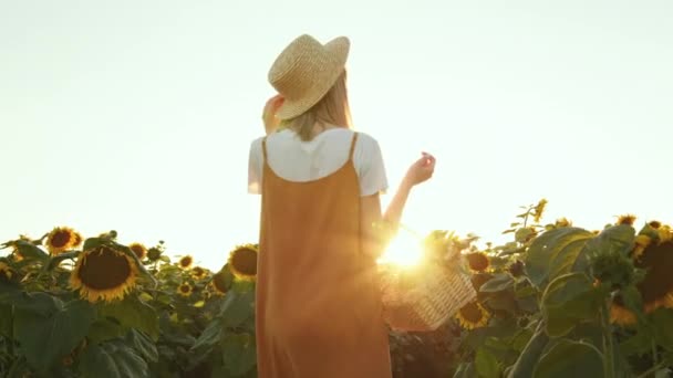 Bir kadın elinde bir sepet çiçekle ayçiçeği tarlasında yürüyor. Hasır şapka takıyor. Gün batımı. 4K - Video, Çekim
