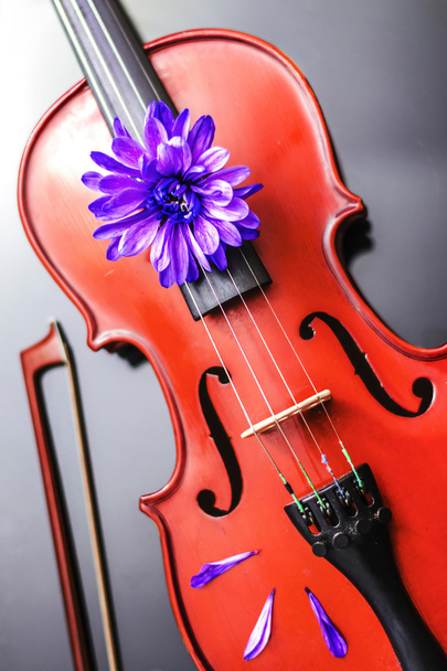 Artistic Poetic Violin - Photo, Image