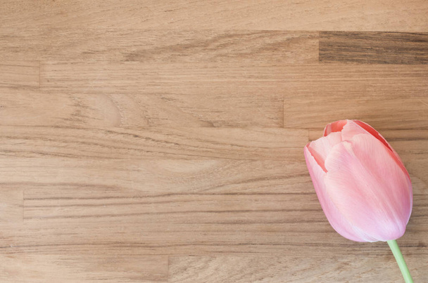 A closeup shot of a beautiful pink tulip on a wooden background - Valokuva, kuva