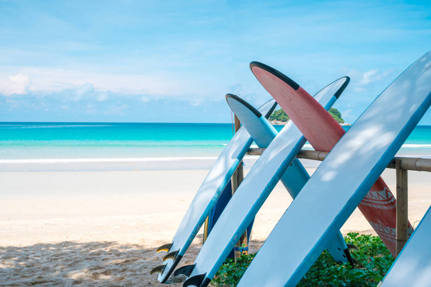 Molte tavole da surf in affitto sulla spiaggia estiva con sfondo cielo blu luce del sole.  - Foto, immagini