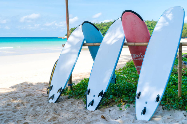 Veel surfplanken te huur op zomerstrand met zonlicht blauwe lucht achtergrond.  - Foto, afbeelding