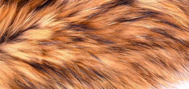 Мех Polar Fox в качестве текстуры или фона - Фото, изображение