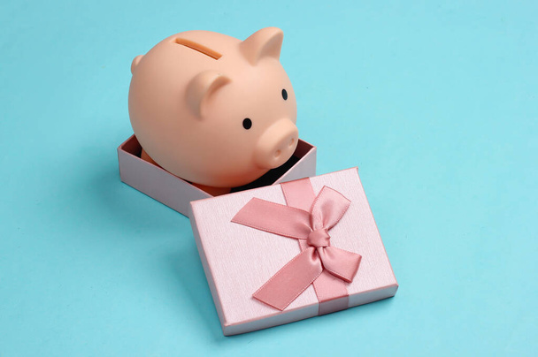 Свинка в подарочной коробке на синем фоне. - Фото, изображение