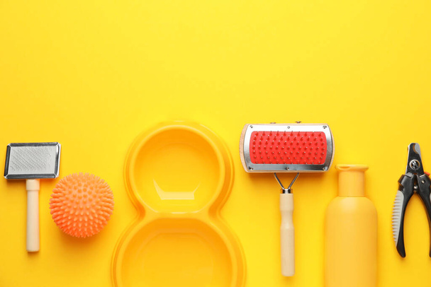 Pet care accessories on color background - Photo, image