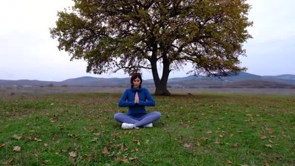 Mladá Asiatka medituje pod velkým starým dubem. Žena cvičení představují životně důležité a meditace pro fitness životní styl klubu na venkovním přírodním pozadí. Zdravá a jóga koncepce - Záběry, video