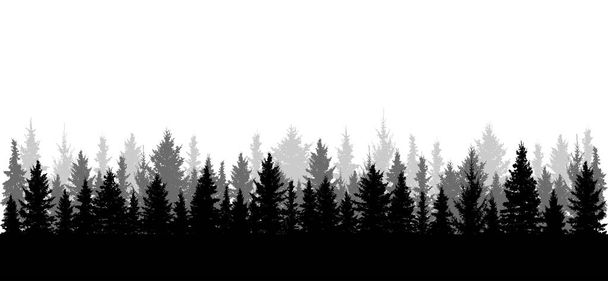Panorama di bella foresta, silhouette. Tutti gli abeti rossi sono separati l'uno dall'altro. Illustrazione vettoriale. - Vettoriali, immagini