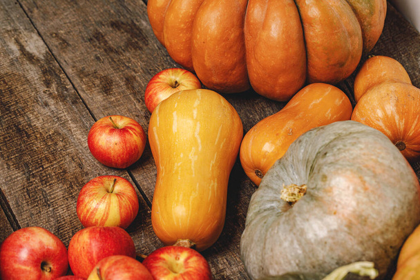 Autumn harvest of pumpkins and apples on wooden board - Φωτογραφία, εικόνα