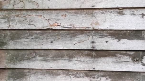 rottende planken textuur houten muur van een verlaten huis. - Video