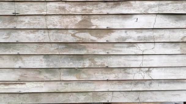 Fäulnis Bretter Textur Holzwand eines verlassenen Hauses. - Filmmaterial, Video