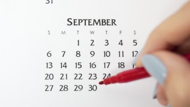 赤いマーカーでカレンダー日付の女性の手の円の日。ビジネスの基本壁カレンダープランナーと主催者。9月30日 - 映像、動画