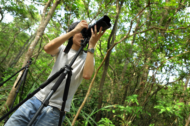 φωτογράφος στο δάσος - Φωτογραφία, εικόνα