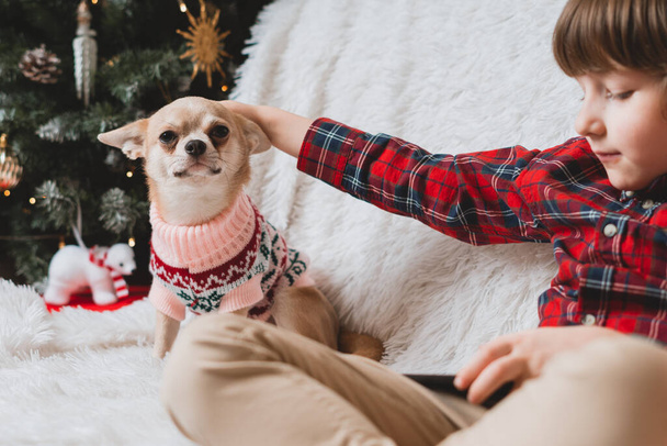 Chihuahua cão em camisola e criança com smartphone no sofá com cobertor no Natal. - Foto, Imagem