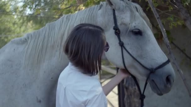 Радостная женщина прикасается к белому коню на улице - Кадры, видео