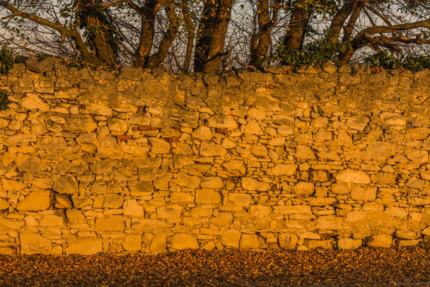 alte Steinmauer in der glühenden Herbstsonne - Foto, Bild