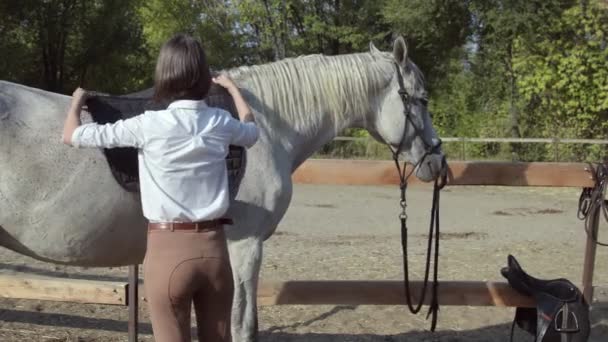 Junge Reiterin setzt Reitkissen und Sattel auf ihr Pferd - Filmmaterial, Video