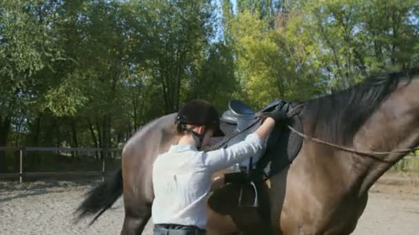 Žena jezdec v jezdeckém oblečení skočí do svého koně - Záběry, video