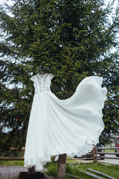 Matrimonio abito lungo pizzo bianco pende su un appendiabiti sull'albero verde. Vestiti eleganti per la cerimonia di nozze all'aperto. Mattina e preparazione della sposa. - Foto, immagini