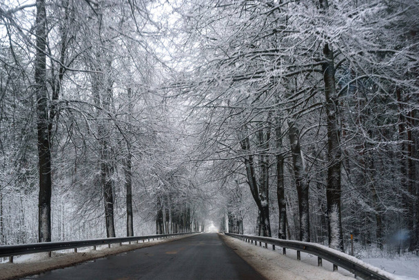 Χιονισμένο δρόμο χειμώνα στο δάσος κατά τη διάρκεια της ημέρας. - Φωτογραφία, εικόνα