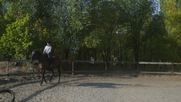 Female rider in riding clothes riding a horse. Love and friendship concept. Horseback riding - Footage, Video