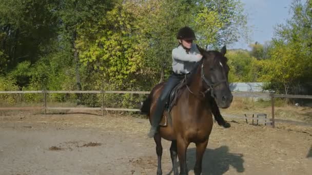 Samica jeźdźca w ujeżdżaniu ubrań na koniu. Pojęcie miłości i przyjaźni. Jazda konna - Materiał filmowy, wideo