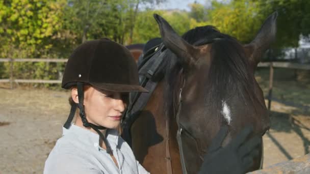 Kobieta jeźdźca w ubraniu jeździeckim i kasku głaskając konia i patrząc w kamerę - Materiał filmowy, wideo