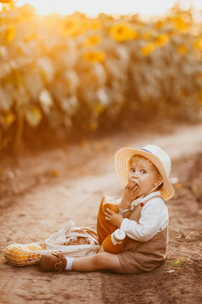 a boy in a field of sunflowers eats wheat bread, bites off a loaf - Фото, изображение
