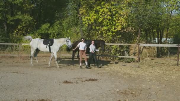 İki genç bayan binici atlarını tutarak yürüyor. Hayvan bakımı. At ve insan kavramı. - Video, Çekim