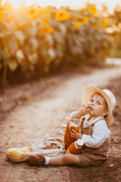 a boy in a field of sunflowers eats wheat bread, bites off a loaf - Zdjęcie, obraz
