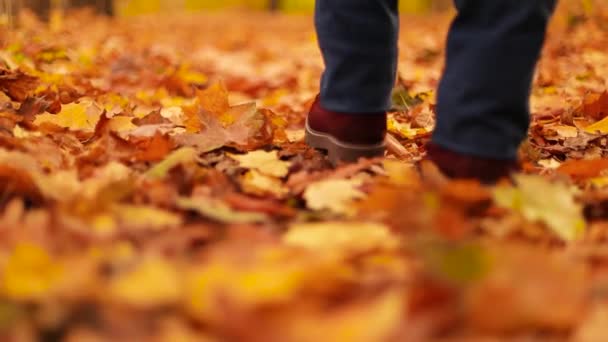 Caminar en el bosque de otoño. Mujer con estilo en botas de color rojo oscuro disfrutando del clima otoñal en el parque de la ciudad. Hermosa mujer caminando en el bosque de otoño. - Metraje, vídeo