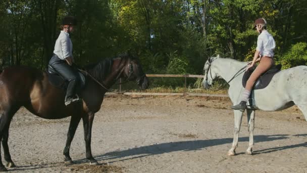 Kaksi naispuolista ratsastajaa ratsastusvaatteissa ja kypärissä istuu hevosillaan ja ratsastaa - Materiaali, video