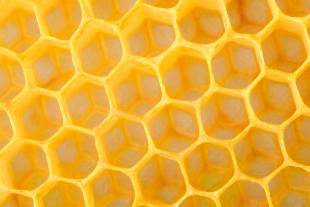 Honeycomb macro as a background. Beekeeping products. Apitherapy - Photo, Image