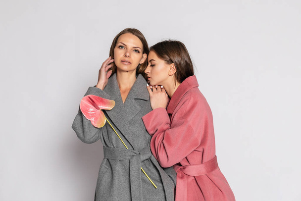 fashion portrait of two smiling brunette women models in summer casual hipster overcoat posing on gray background. Full length. - Фото, зображення