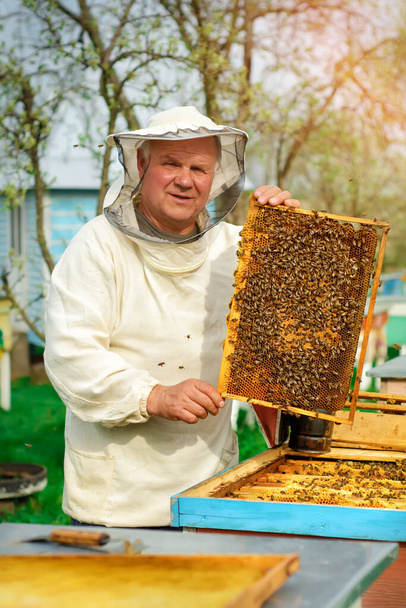 Apiculteur tenant un rayon de miel plein d'abeilles. Apiculteur en tenue de travail protectrice inspectant le cadre en nid d'abeille au rucher. Travaux sur les ruchers au printemps - Photo, image