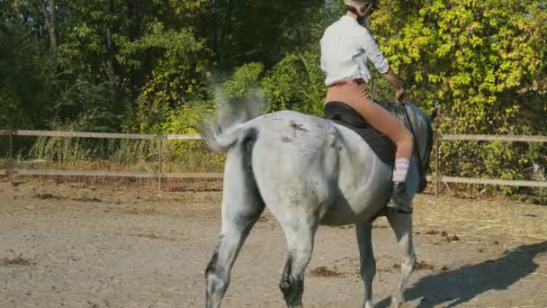 馬に乗って服に乗って女性ライダー。愛と友情の概念。乗馬。 - 映像、動画