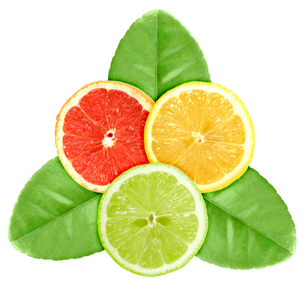 Set of three cross a citrus fruits on green leaf - Фото, изображение
