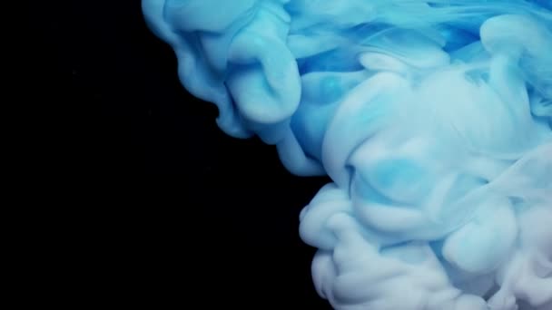 Kék és fehér felhő tinta vízben fehér háttér, Lassú mozgás - Felvétel, videó