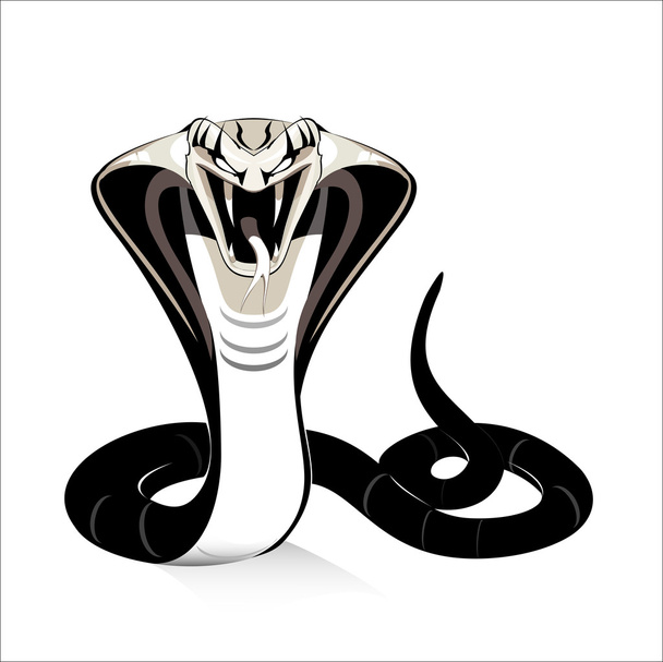 Re Cobra - Vettoriali, immagini