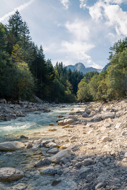 Wild river in forest with a mountain in the back - Fotoğraf, Görsel