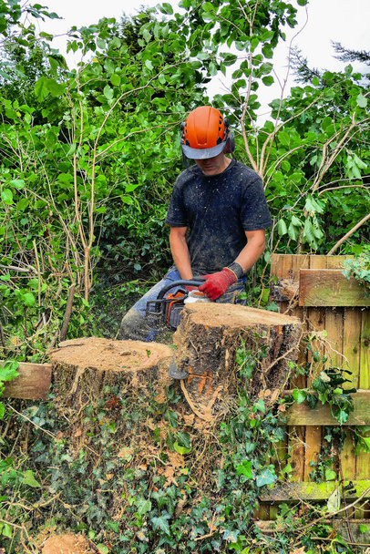 Baumchirurg oder Arborist zersägt einen Baumstumpf mit der Kettensäge. - Foto, Bild