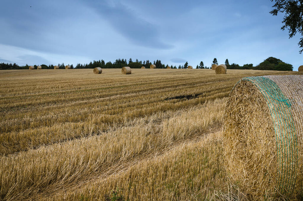 Paysage avec des faisceaux de foin dans un champ sec pendant l'été, Rosemarkie, Fortrose, Royaume-Uni - Photo, image