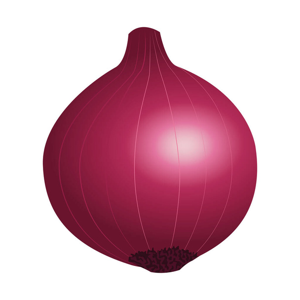 cebolla fresca vegetal icono saludable - Vector, imagen