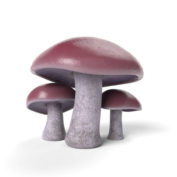 3D Illustration of a Blewit Mushroom  - Photo, Image