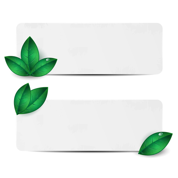 Conjunto de duas folhas de papel decoradas com folhas verdes
 - Vetor, Imagem