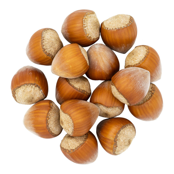 Top view of hazelnuts isolated on white background. Fresh hazelnuts in their shells. - Φωτογραφία, εικόνα