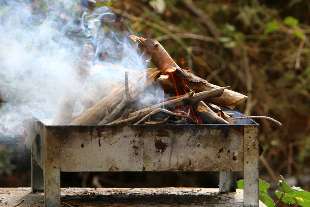 Kızarmış et kebabını ateşe verdikten sonra şöminede parlak bir ateşle odun yakmak. Ormanda piknik.  - Fotoğraf, Görsel