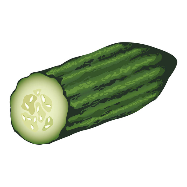 świeże warzywa ogórkowe zdrowa ikona - Wektor, obraz