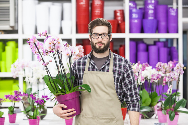 Jovem florista masculino adulto em estufa
 - Foto, Imagem