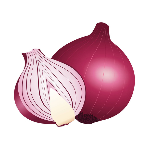 fresh onion vegetable healthy icon - Vector, imagen