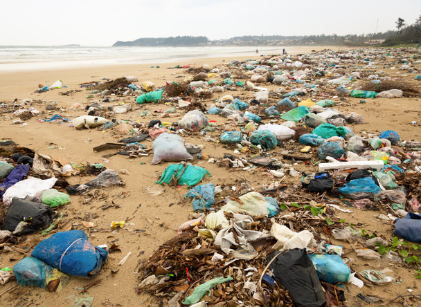 odpadky na pláži - Fotografie, Obrázek