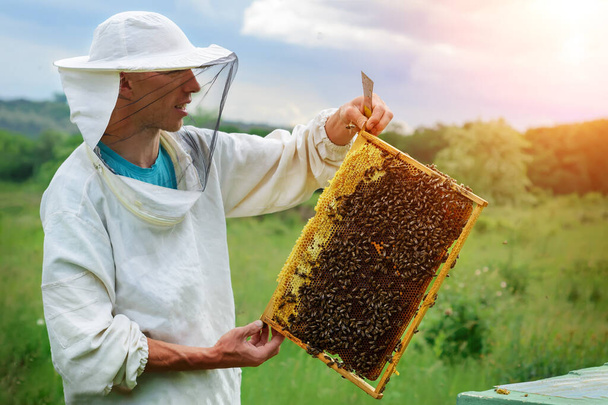 Ο μελισσοκόμος δουλεύει με μέλισσες κοντά στις κυψέλες. Αρπακτικό - Φωτογραφία, εικόνα